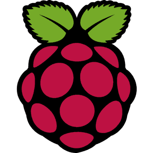 raspberry pi icon